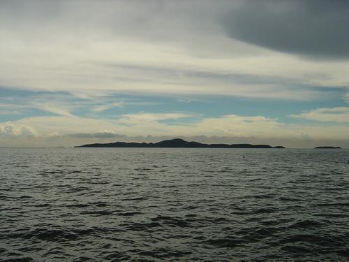 785.jpg